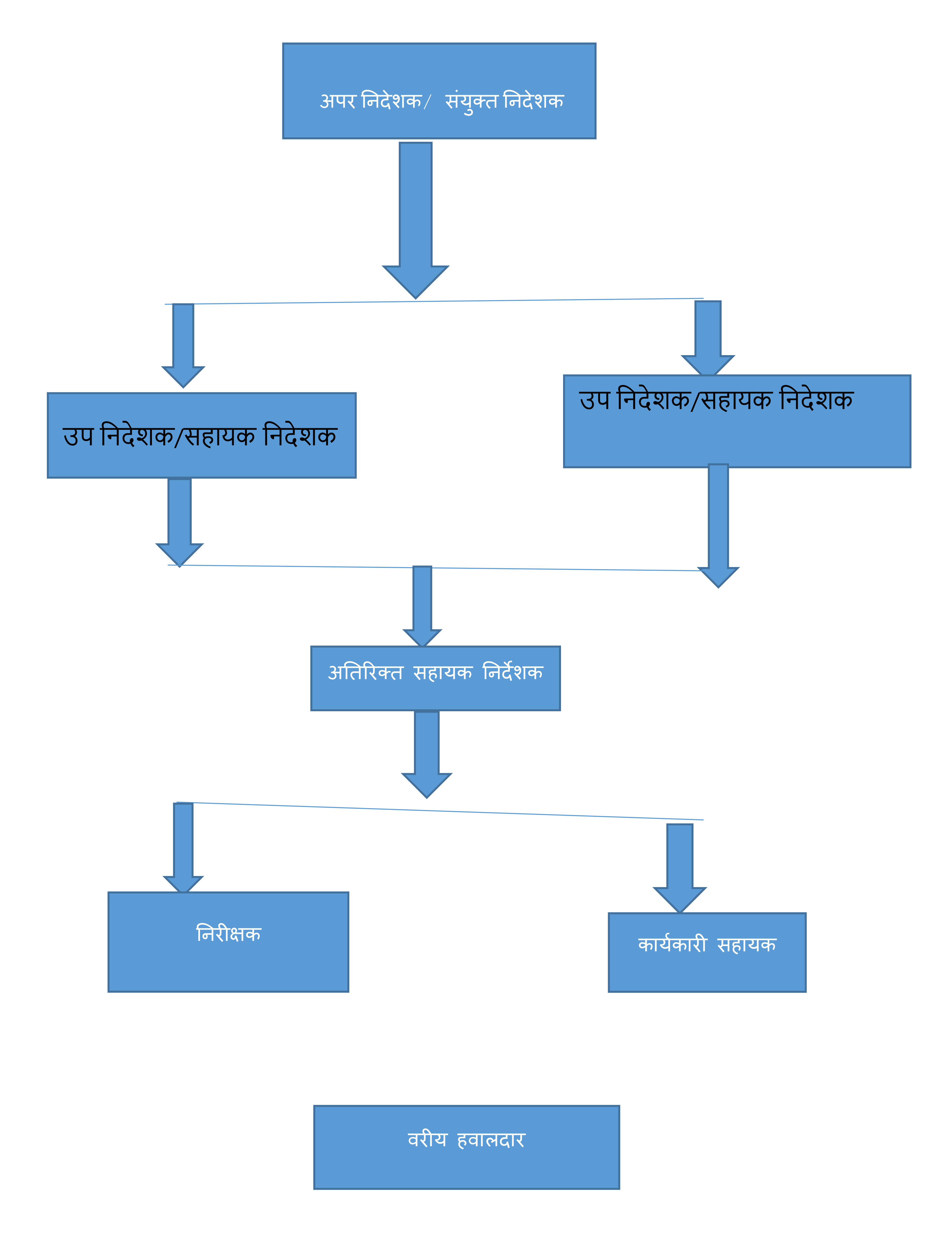 Organization Chart