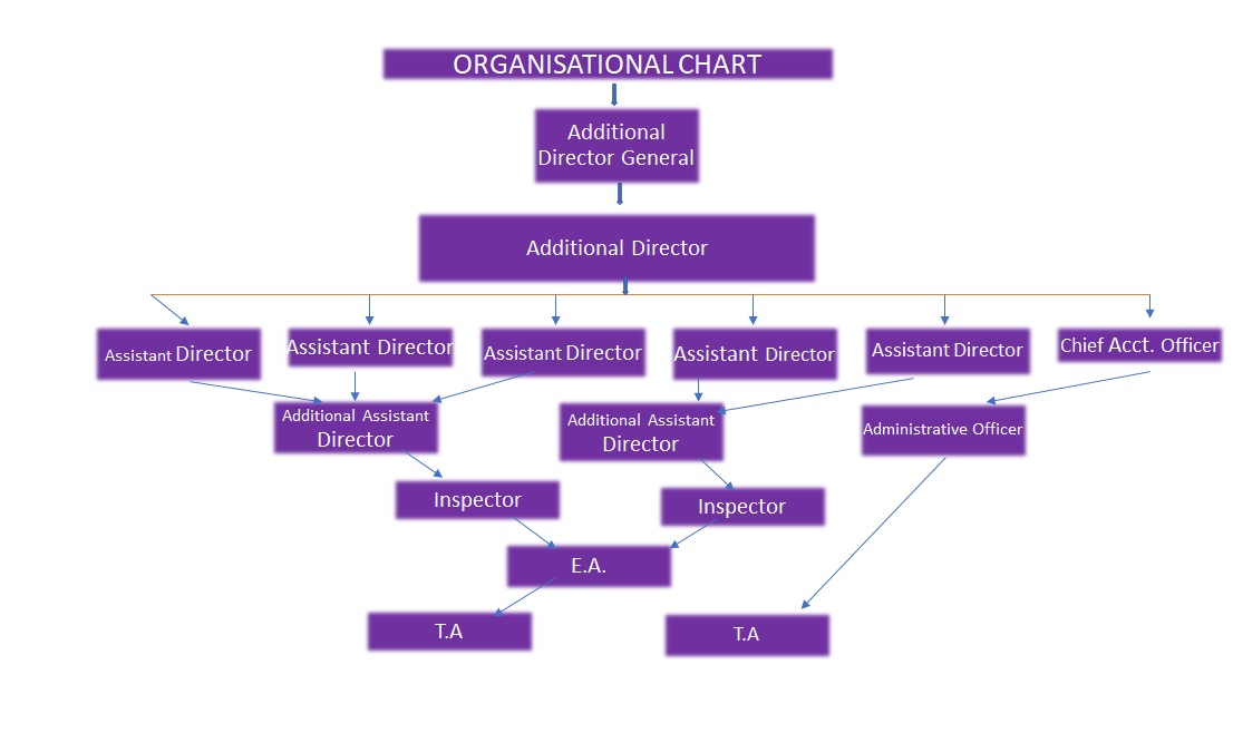 Organization Chart