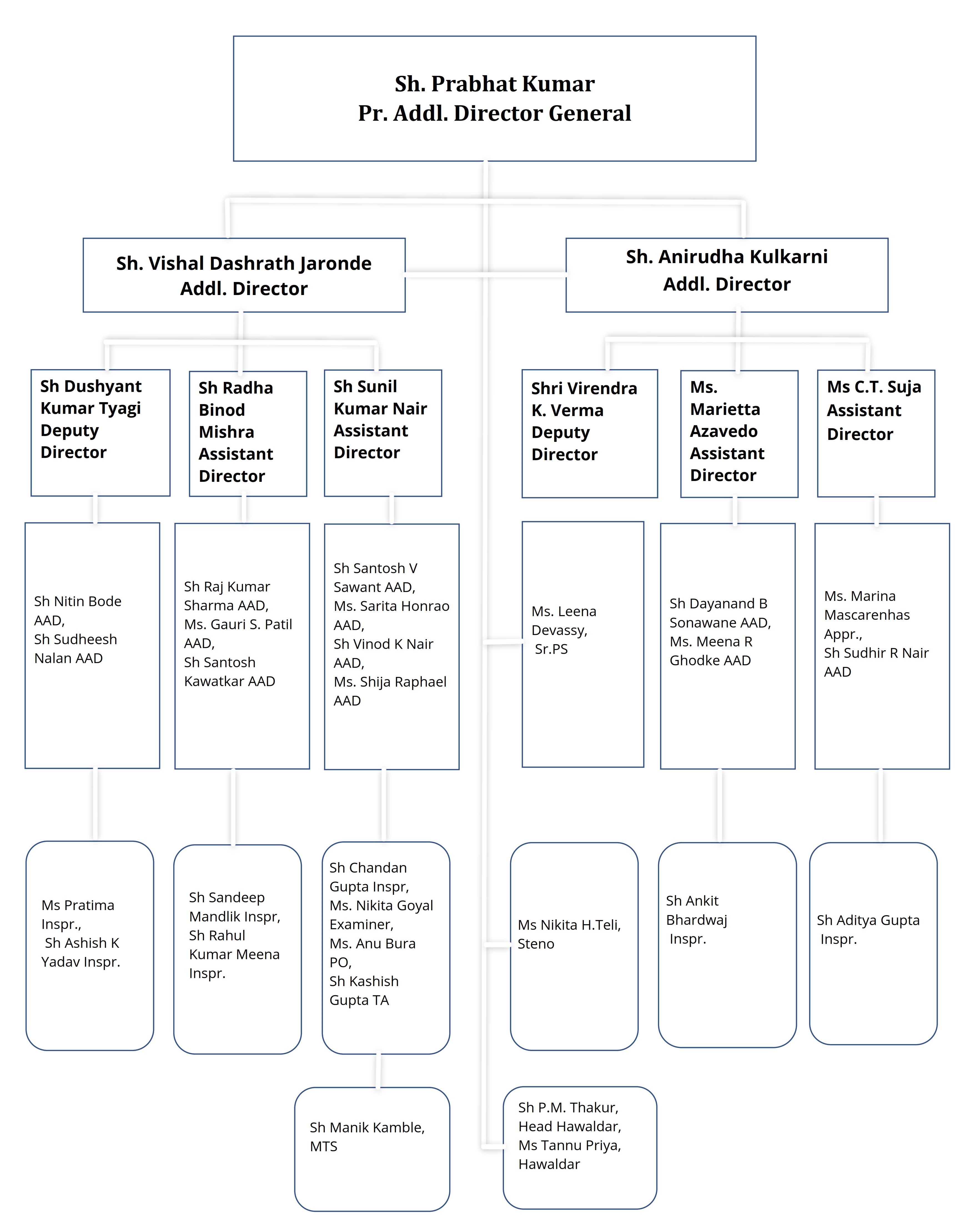 Organization Chart