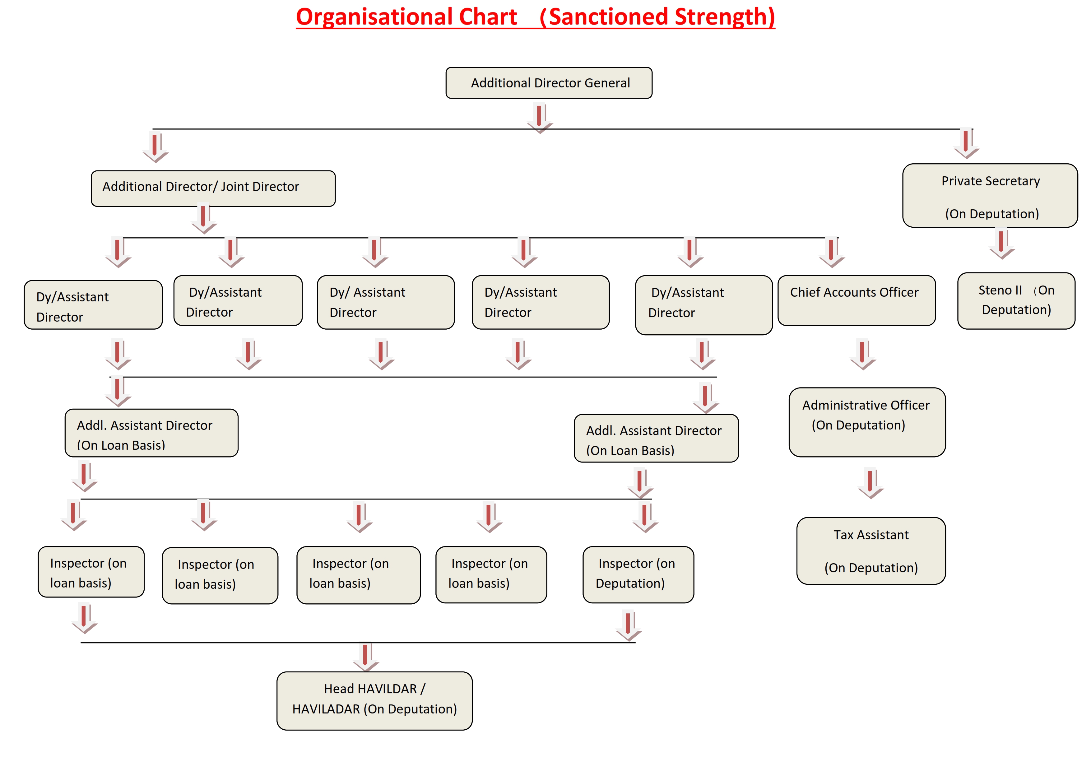 Organization Chart